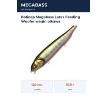 Воблер Megabass Lates Feeding Woofer wagin oikawa