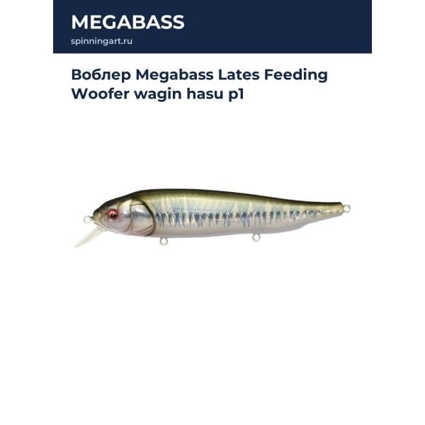 Воблер Megabass Lates Feeding Woofer wagin hasu p1