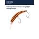 orange stripe