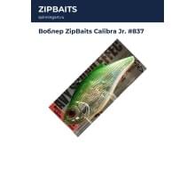 Воблер ZipBaits Calibra Jr. #837