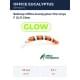 GL11 Glow