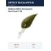Воблер Office Eucalyptus Nei-Crank F 09