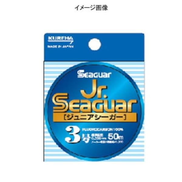 Флюорокарбон Seaguar Kureha Fluoro Jr Seaguar 40m #5 20lb 0.370mm 9kg