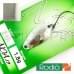 Блесна Rodio Craft Noa 1.8 20