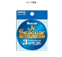 Флюорокарбон Seaguar Kureha Fluoro Jr Seaguar 50m #2.5 10lb 0.260mm 5kg