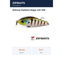 Воблер ZipBaits Rigge 43F 509