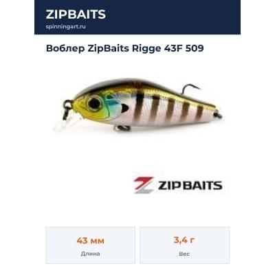 Воблер ZipBaits Rigge 43F 509