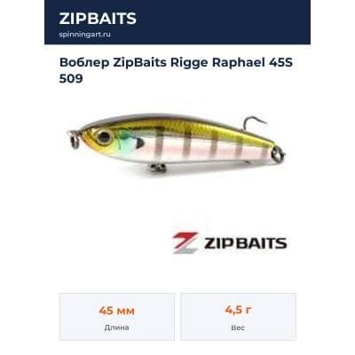 Воблер ZipBaits Rigge Raphael 45S 509