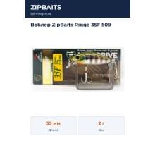 Воблер ZipBaits Rigge 35F 509