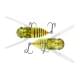 sight clear insect