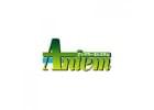 Antem