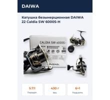 Катушка безынерционная DAIWA 22 Caldia SW 6000S-H