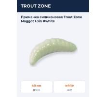 Приманка силиконовая Trout Zone Maggot 1.3in #white