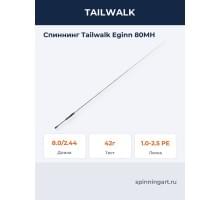 Спиннинг Tailwalk Eginn 80MH