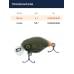 Воблер Jackall Chubby 38F цв. green pellet orange