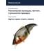 Воблер Megabass Vibration-X Vatalion (SS) al evening gill