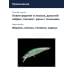 Воблер Jackall Timon Tricoroll Ryushin 53HW цв. flash green back