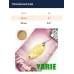 Блесна Yarie T- Fresh Limited 2gr Y79