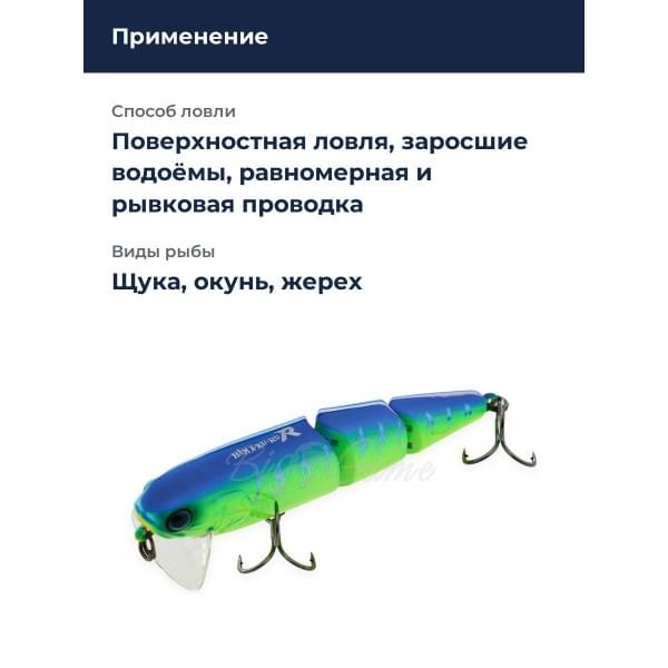 Воблер Jackall Hama-ku-ru R цв. blue back tiger