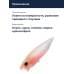 Воблер Megabass Pop Max baby kingyo